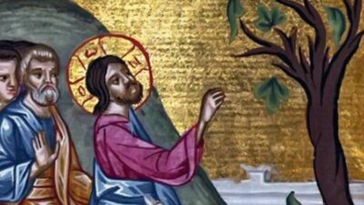 Crédito: Vatican News